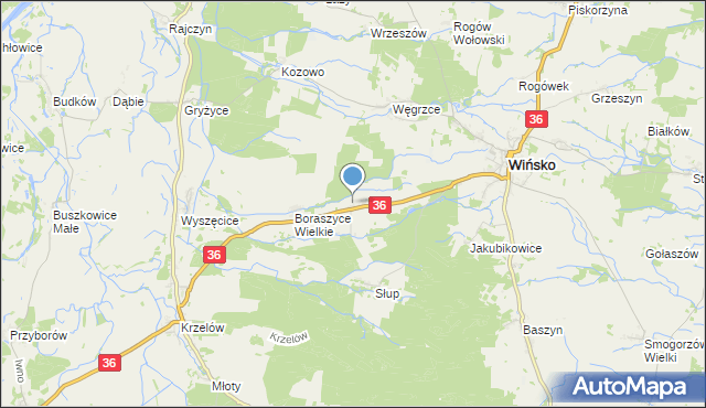 mapa Boraszyce Małe, Boraszyce Małe na mapie Targeo